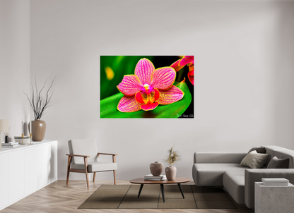 66 x 44″, Glossy Metal Vigorous Orchid