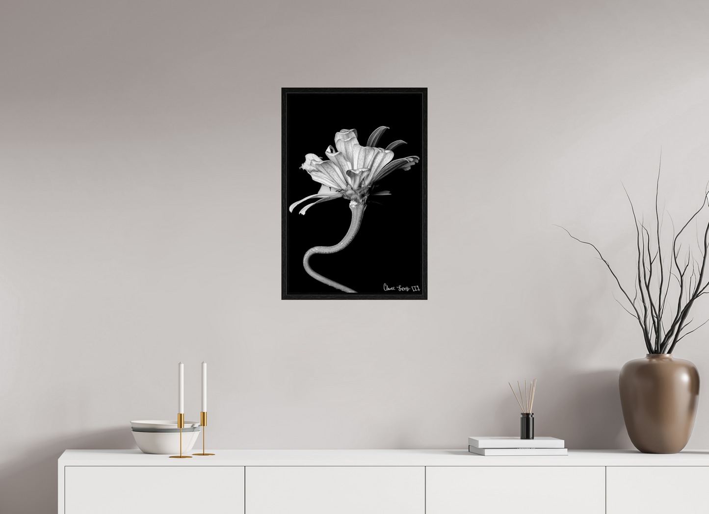 16 x 24″, Floater Frame Black Oak Kingsnake’s Florescence