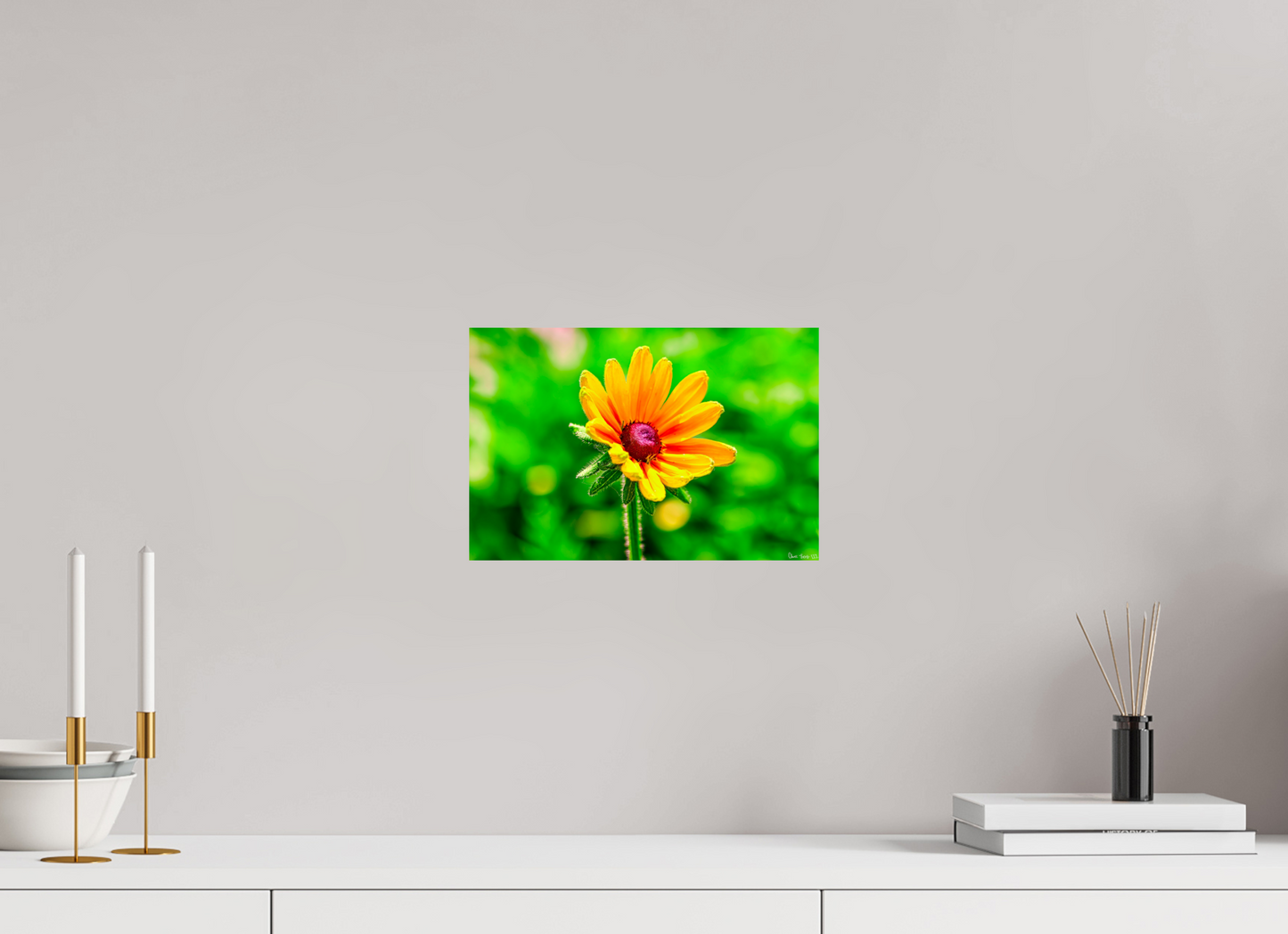 12 x 8″, Glossy Metal Stillness in the Blur