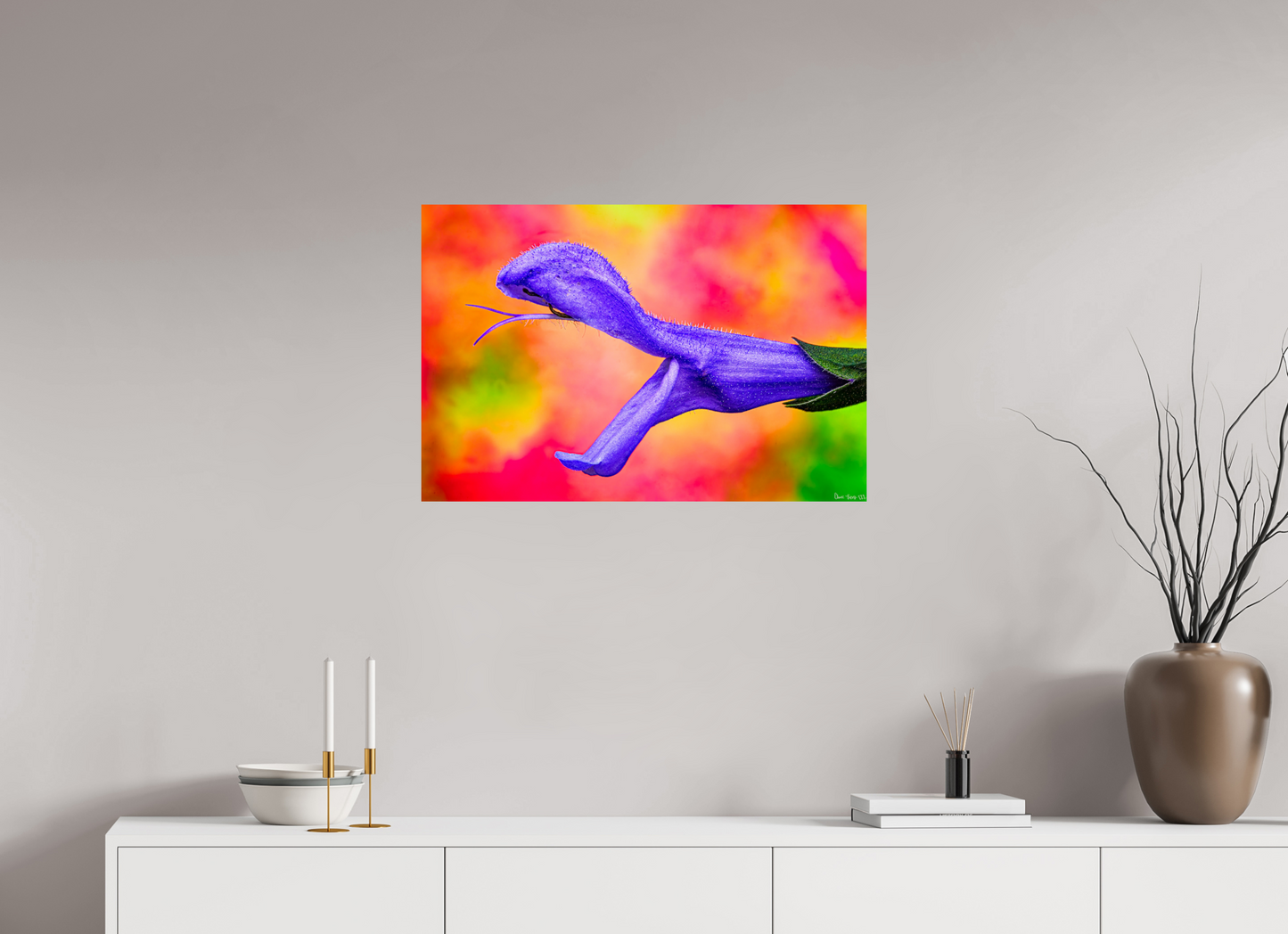 30 x 20″, Glossy Metal Eden’s Serpent