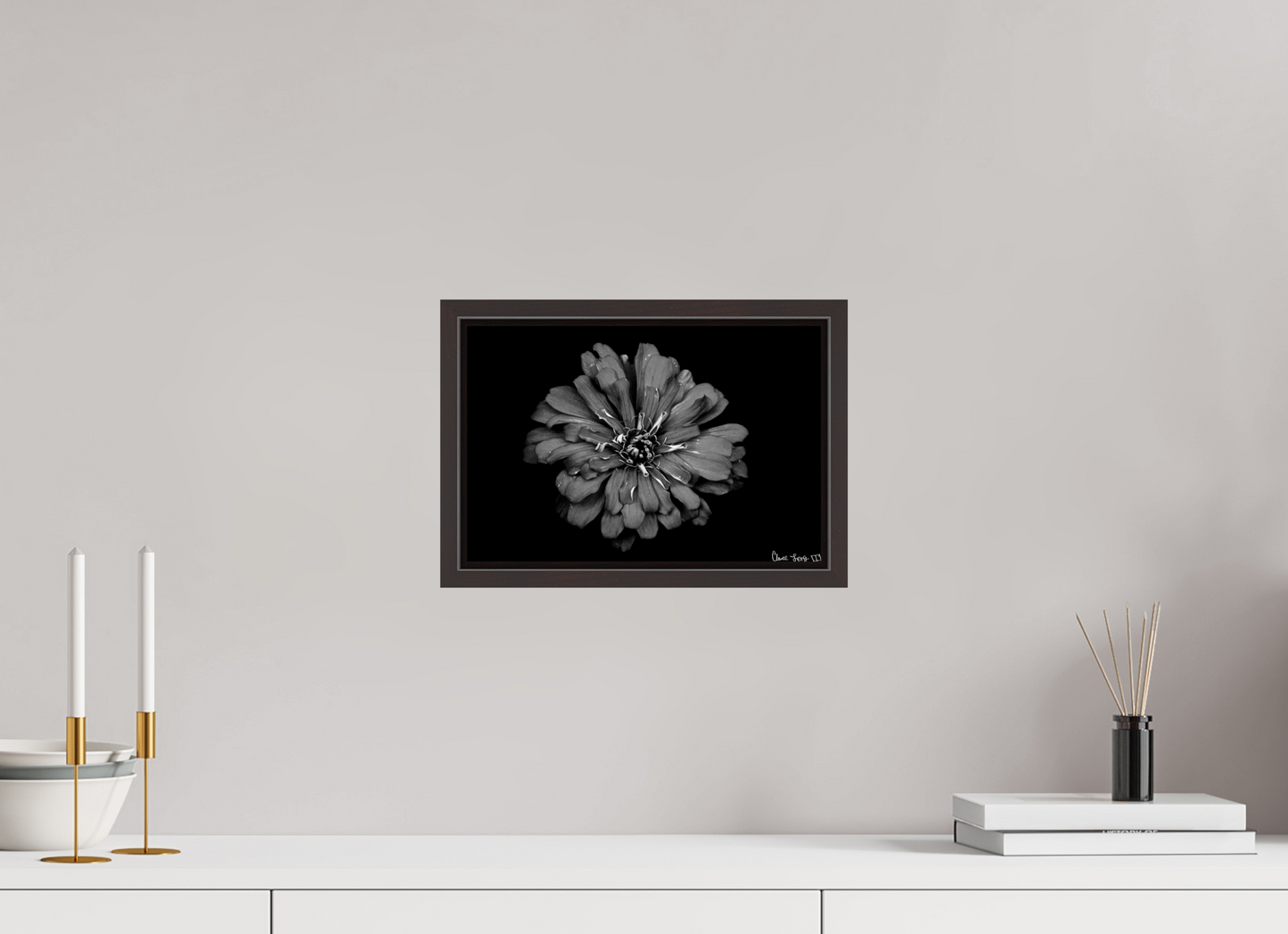 12 x 8″, Floater Frame Alder Brown Carbon Zinnia