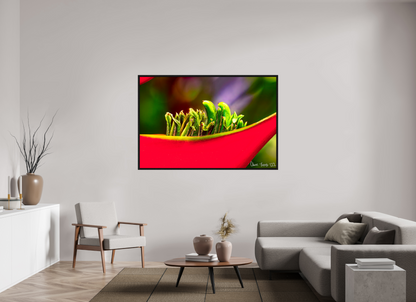 66 x 44″, Floater Frame Black Oak Utopia