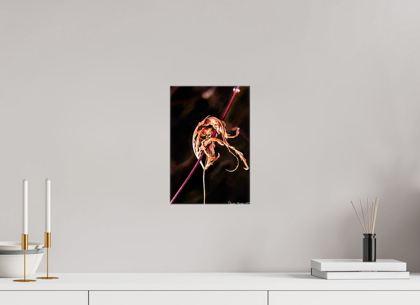 8 x 12″, Glossy Canvas Impaled