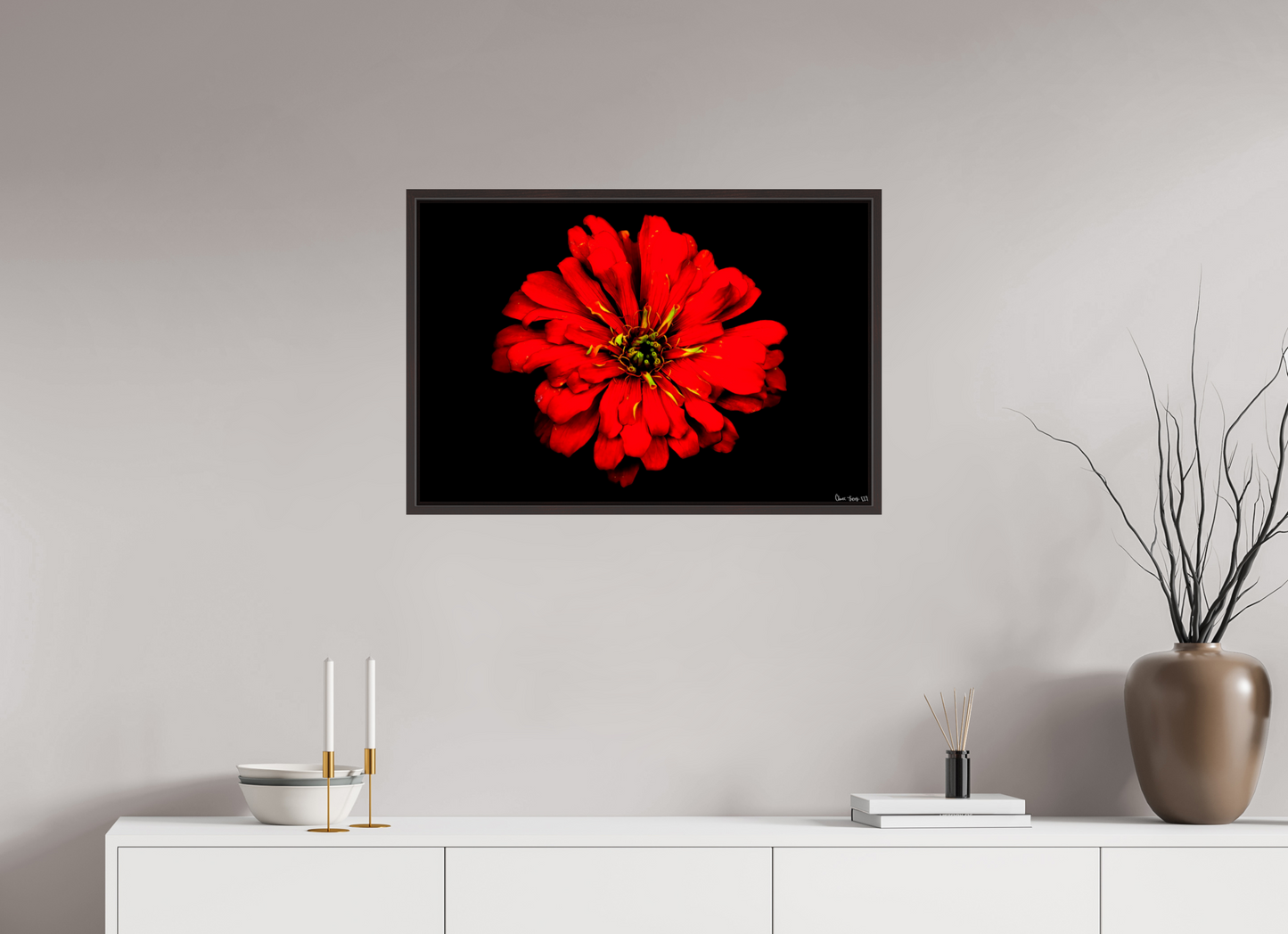 30 x 20″, Floater Frame Alder Brown Zinnia of Fire