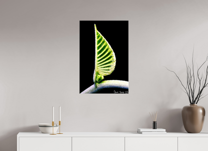 20 x 30″, Glossy Canvas Ocean Odyssey