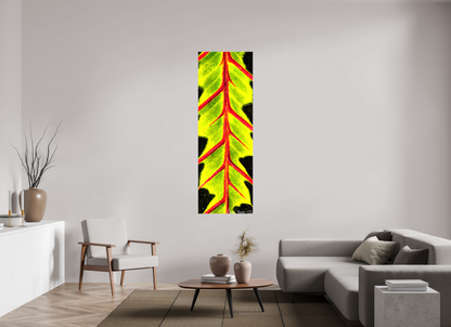 24 x 72″, Glossy Canvas Highlighted Maranta