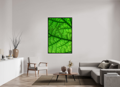 40 x 60″, Floater Frame Black Oak Rivers & Streams