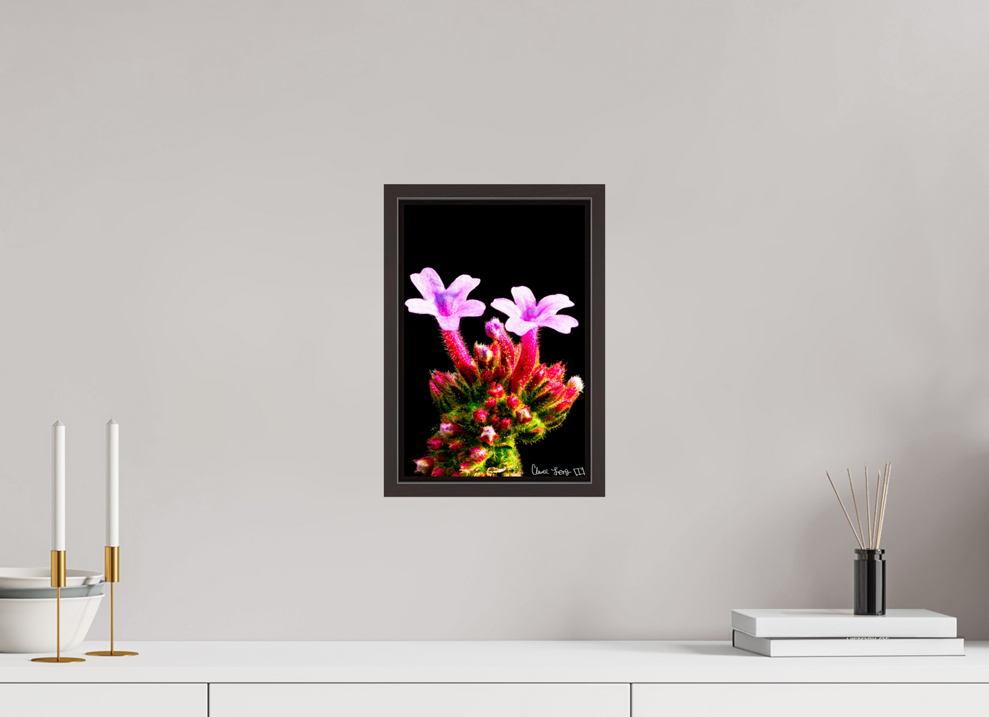 8 x 12″, Floater Frame Alder Brown Vebena Bonariensis Pair