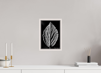 8 x 12″, Floater Frame Maple White Eclipse