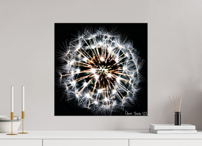 20 x 20″, Glossy Canvas Starburst