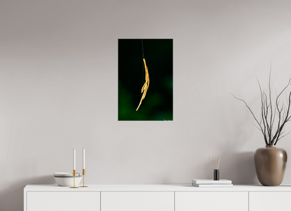 16 x 24″, Glossy Canvas Nature’s Tether