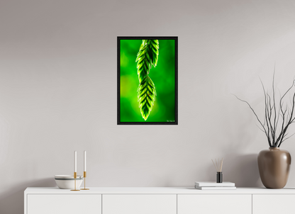 16 x 24″, Floater Frame Black Oak Harmonic Trinity