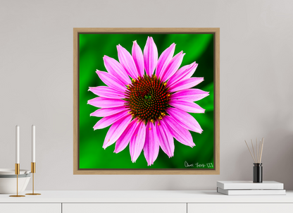 20 x 20″, Floater Frame Natural Oak Icosidigon