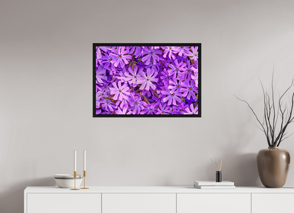 30 x 20″, Floater Frame Black Oak Lavender Moss Phlox