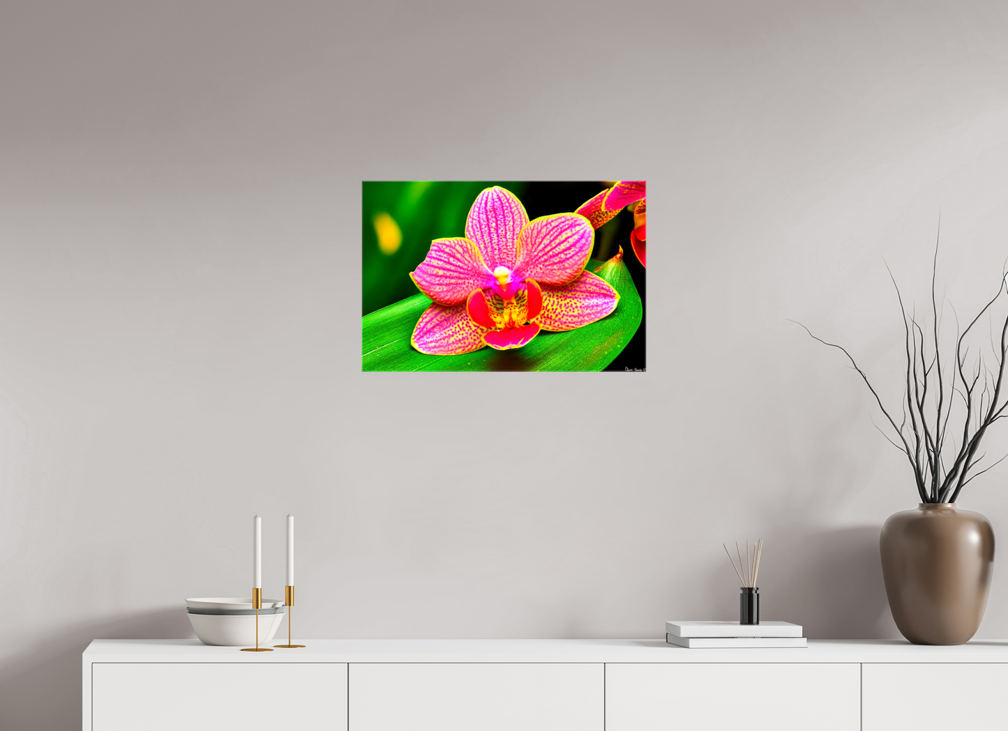 24 x 16″, Glossy Canvas Vigorous Orchid