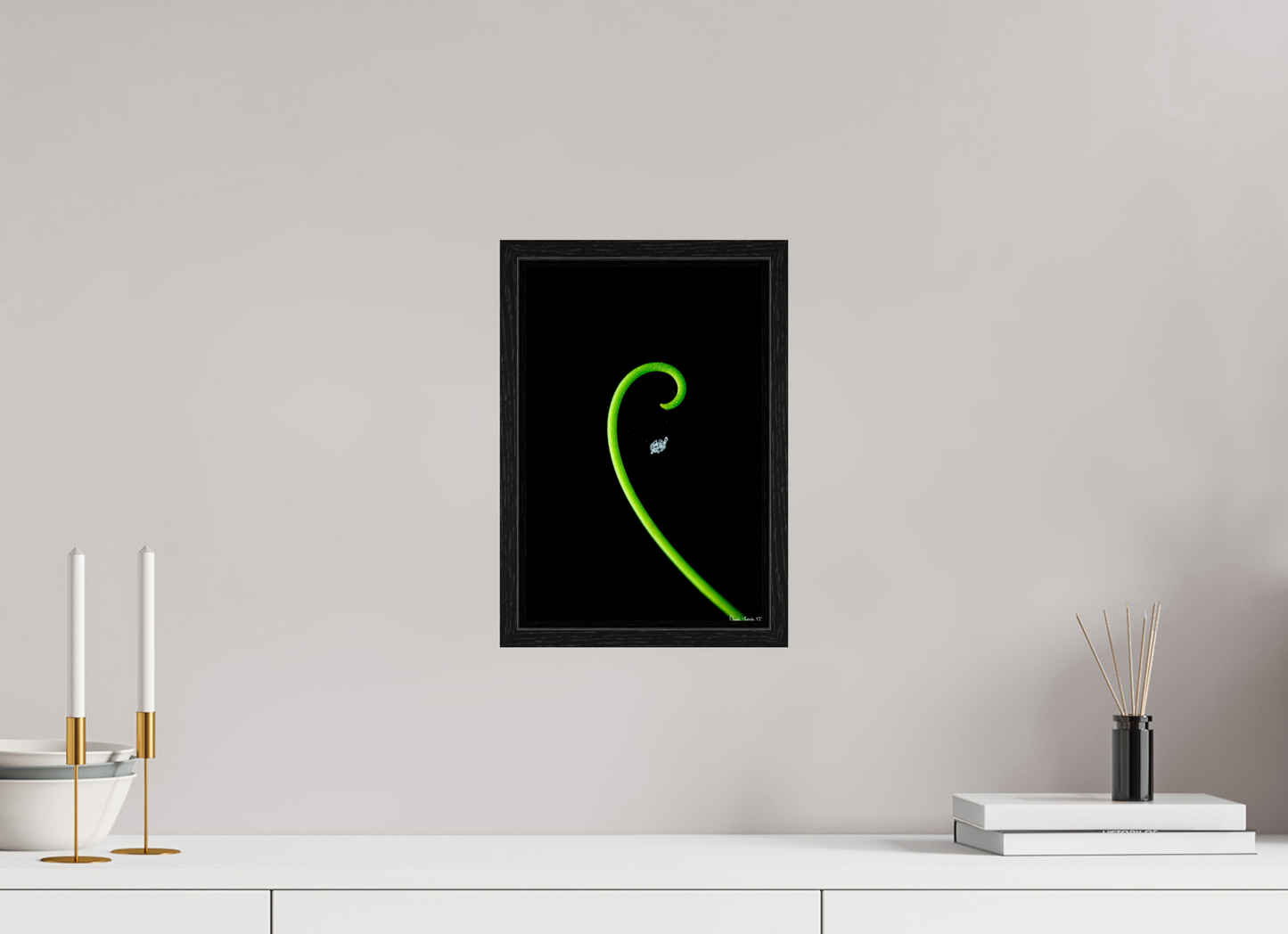 8 x 12″, Floater Frame Black Oak Golden Ratio