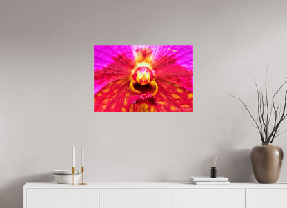 30 x 20″, Acrylic Tie Dye Orchid