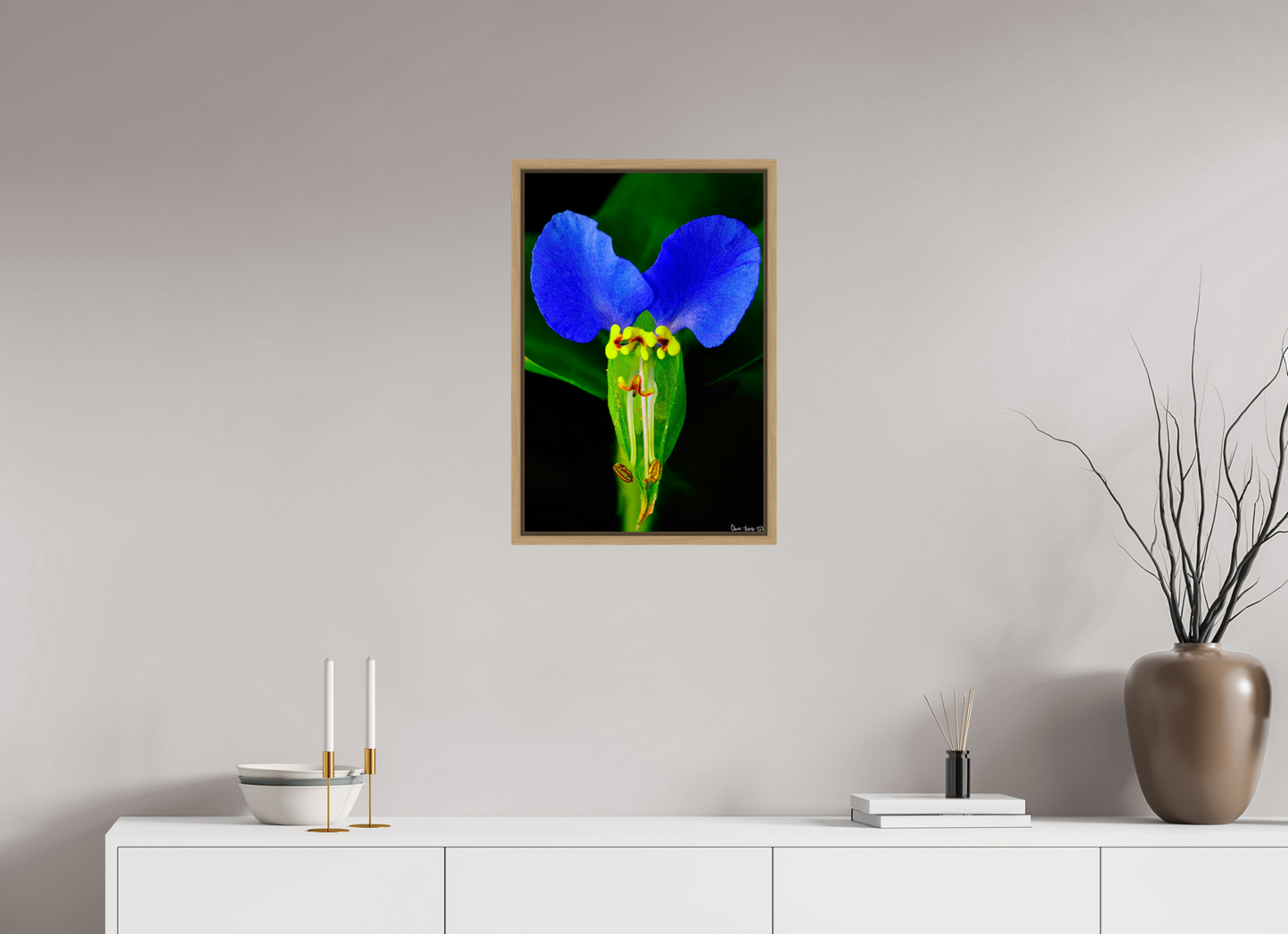 16 x 24″, Floater Frame Natural Oak Asiatic Dayflower