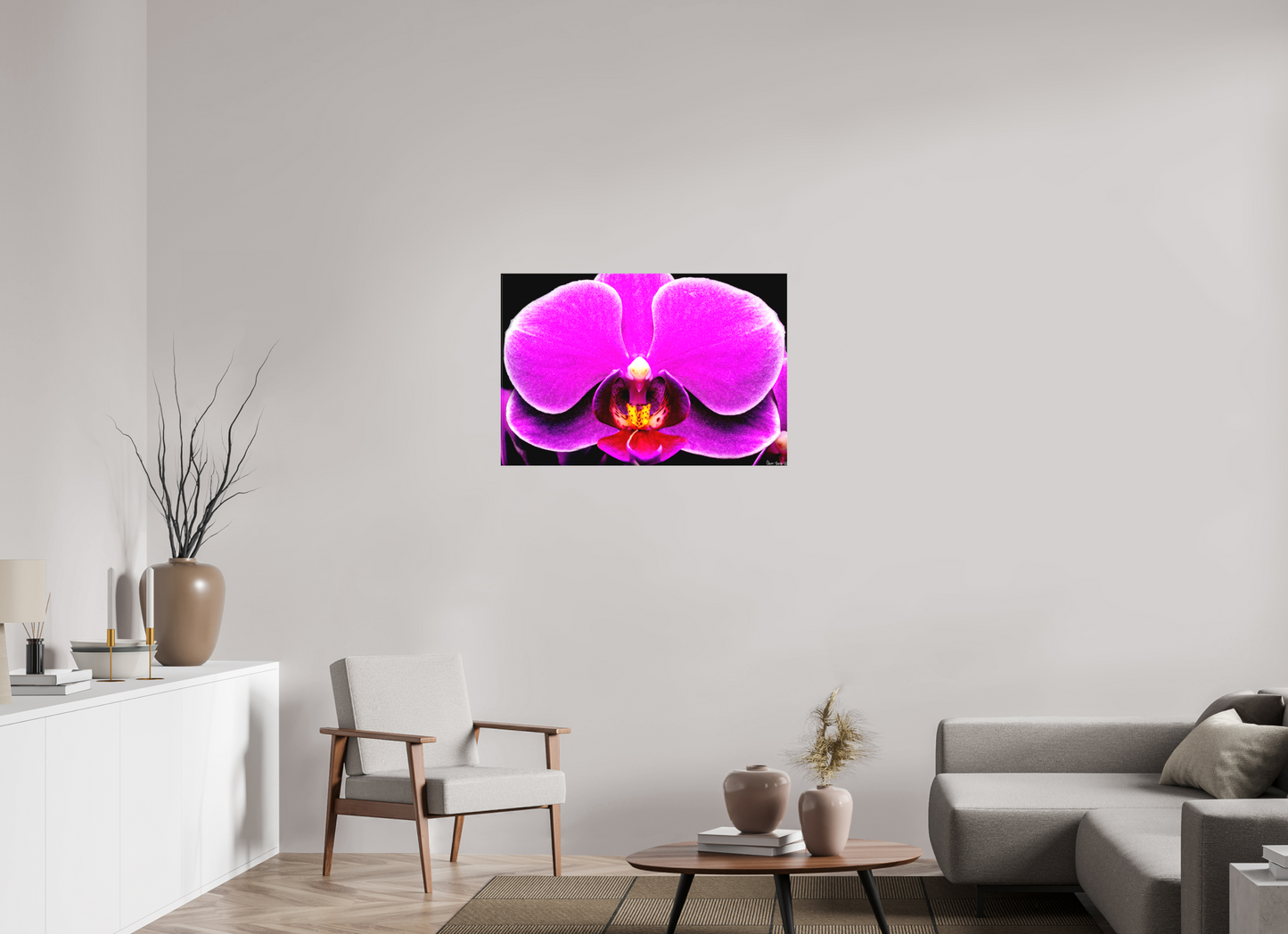 36 x 24″, Matte Canvas Magnificence