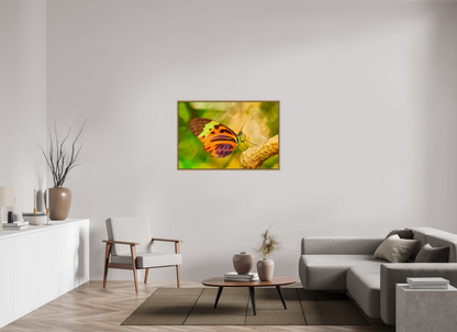 45 x 30″, Floater Frame Natural Oak Flamboyance