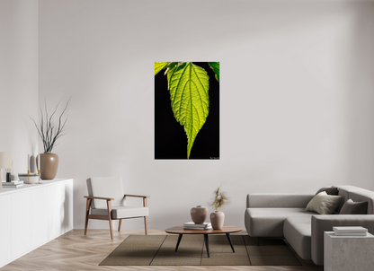36 x 54″, Acrylic Eternal Glow