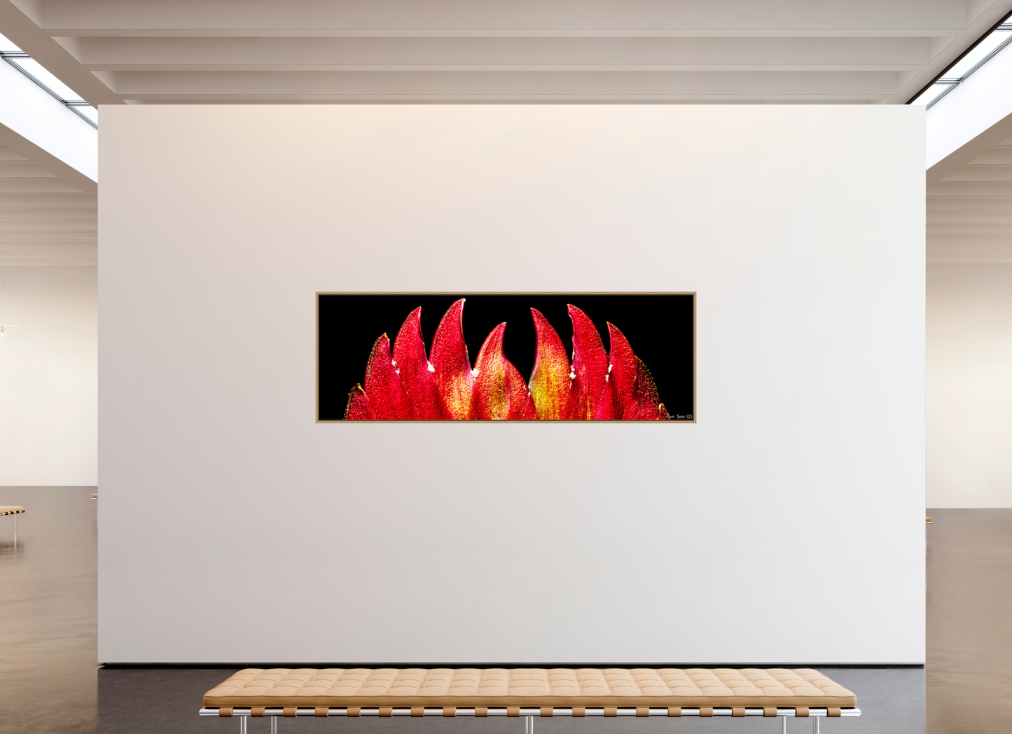 93 x 31″, Floater Frame Natural Oak Flaming Sword