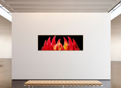 93 x 31″, Floater Frame Natural Oak Flaming Sword