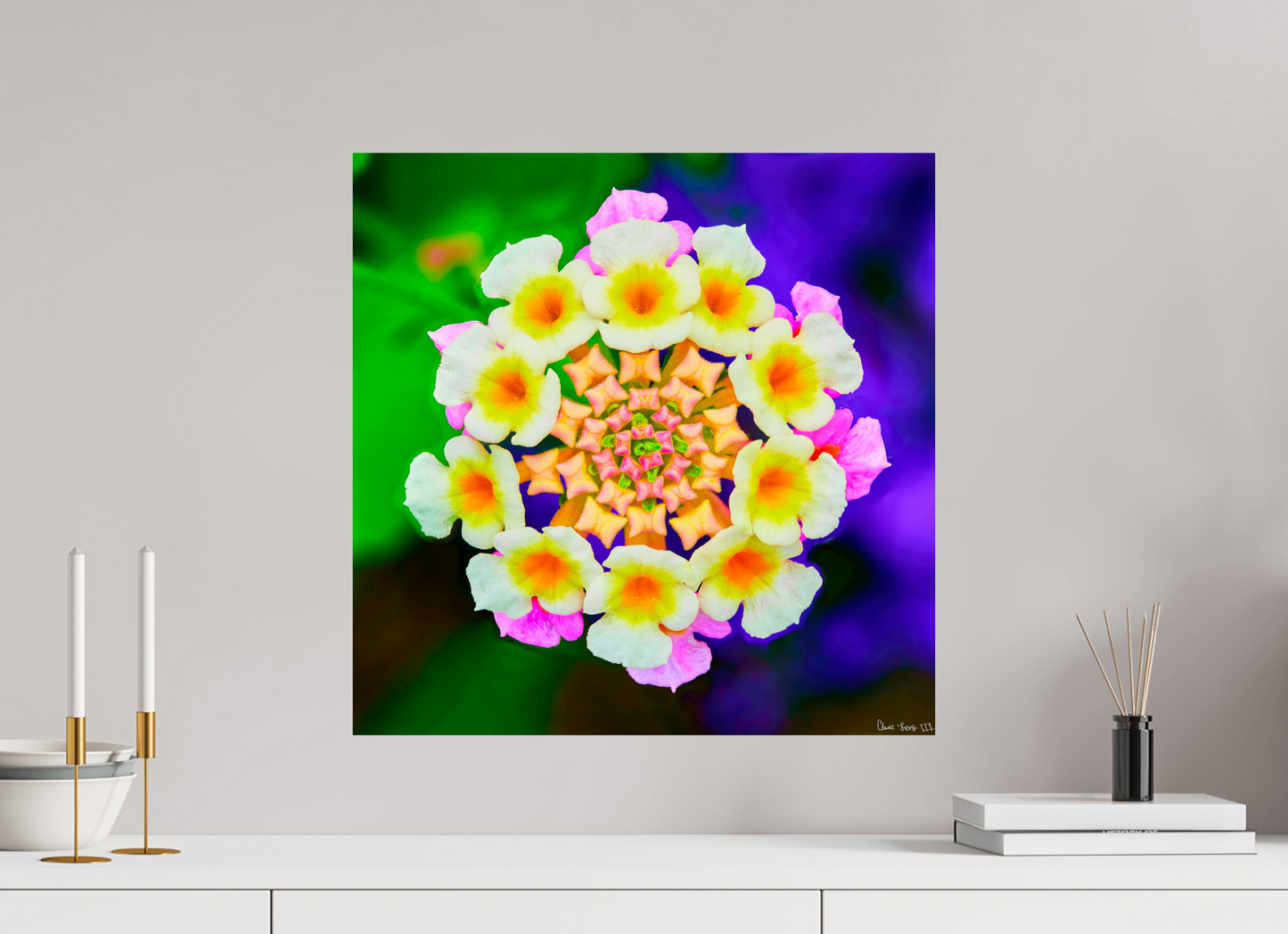 20 x 20″, Photo Print on Aluminum Backing Quintessence
