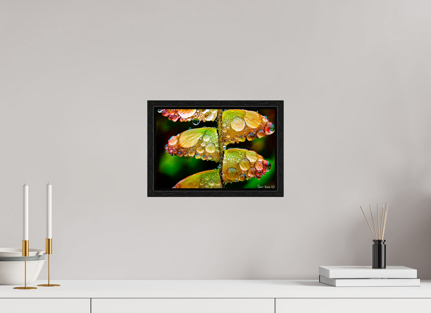 12 x 8″, Floater Frame Black Oak Monarch’s Abundance