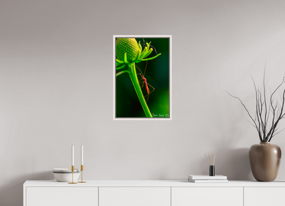 16 x 24″, Floater Frame Maple White Reaching the Apex