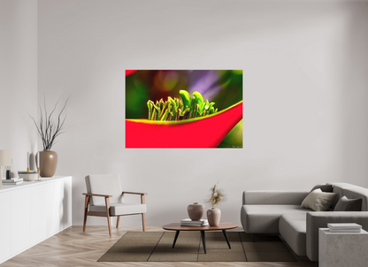 66 x 44″, Matte Metal Utopia