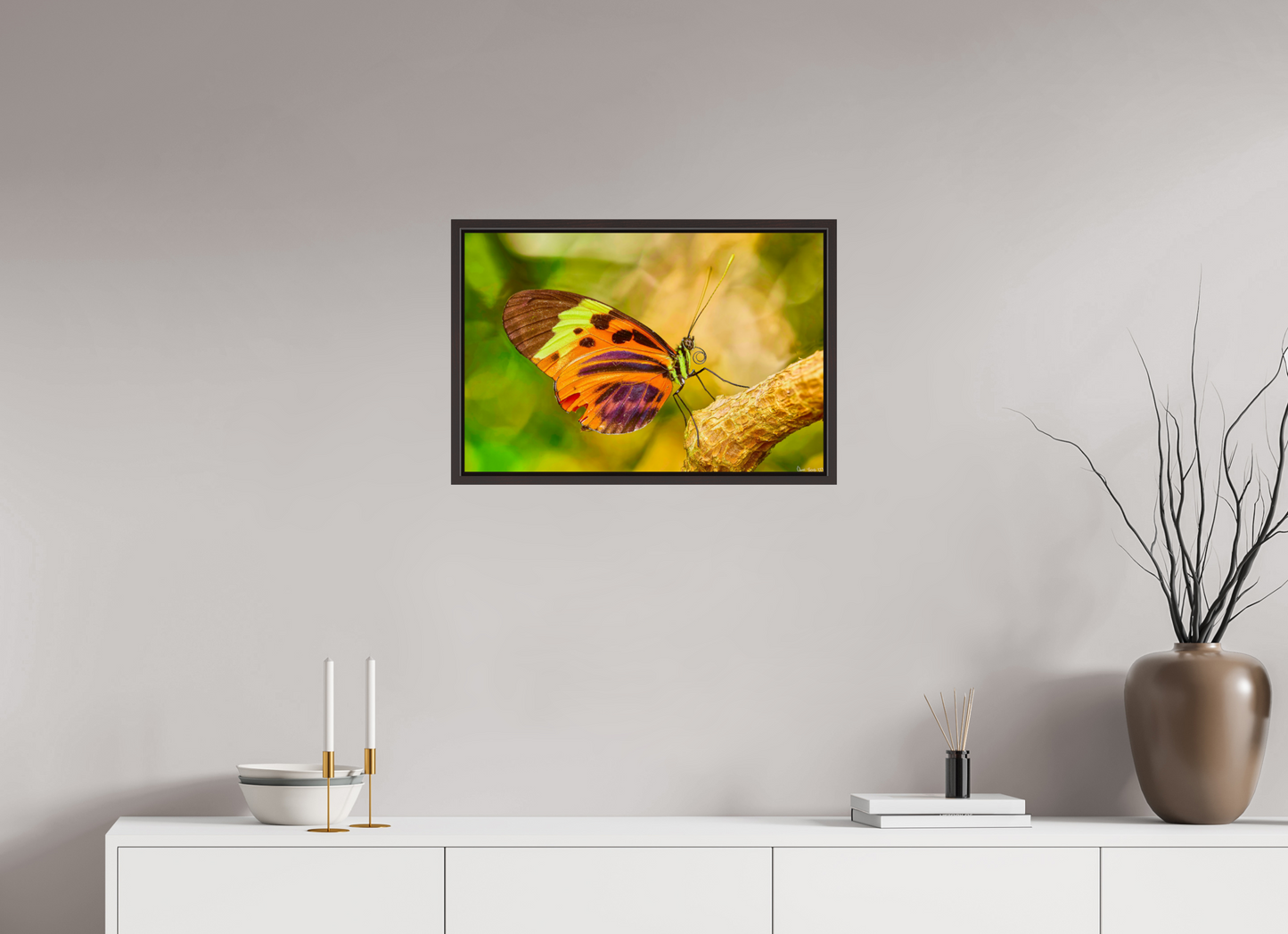 24 x 16″, Floater Frame Alder Brown Flamboyance