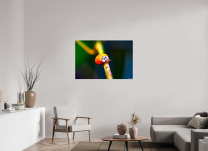 45 x 30″, Glossy Canvas Dew-Kissed Ladybug
