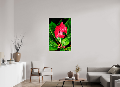 30 x 45″, Glossy Canvas Subsume