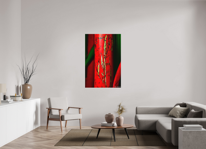 36 x 54″, Forex Wounded