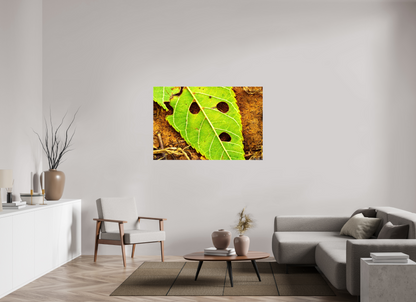 54 x 36″, Glossy Canvas Flabbergasted