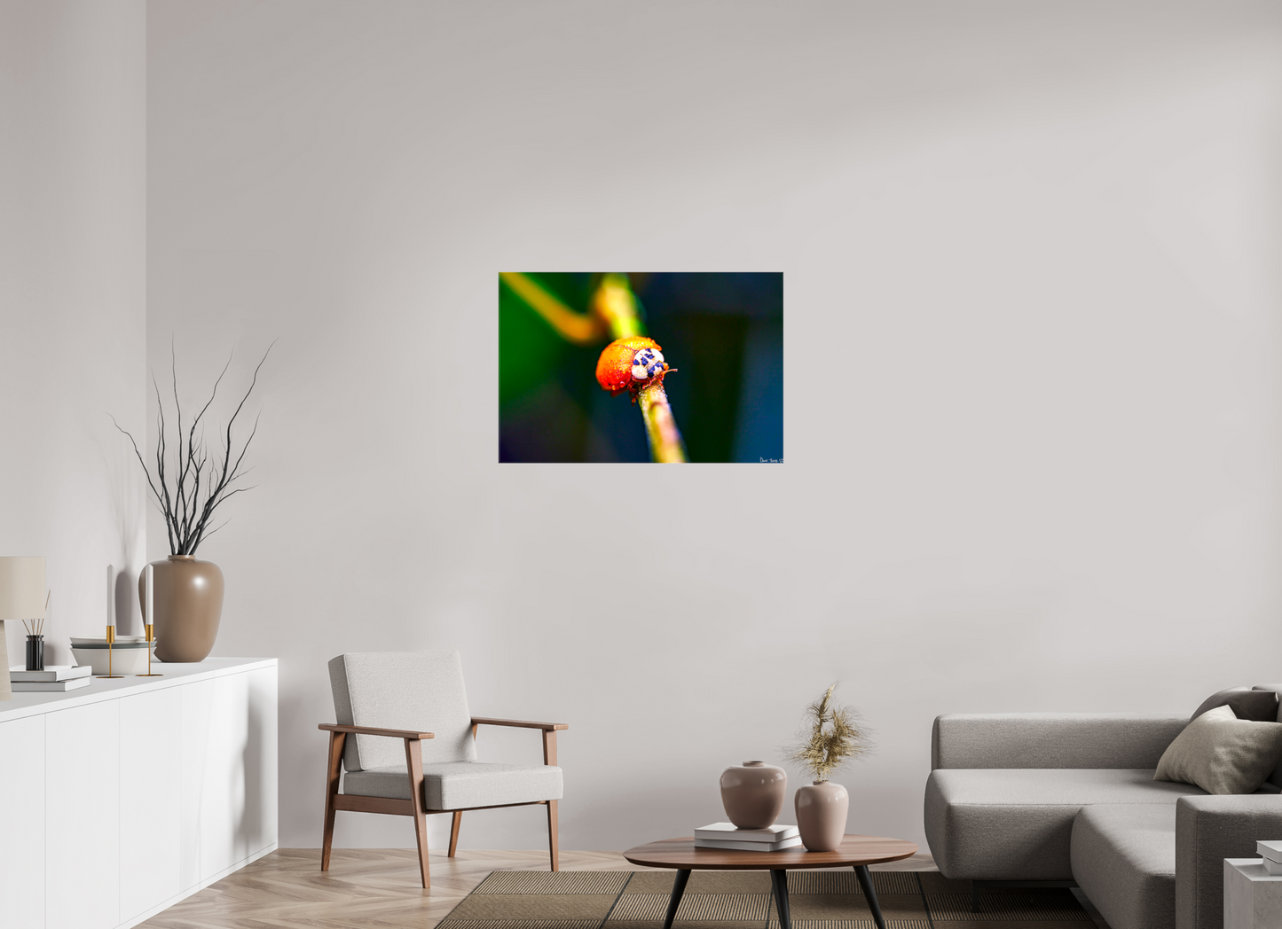 36 x 24″, Glossy Canvas Dew-Kissed Ladybug