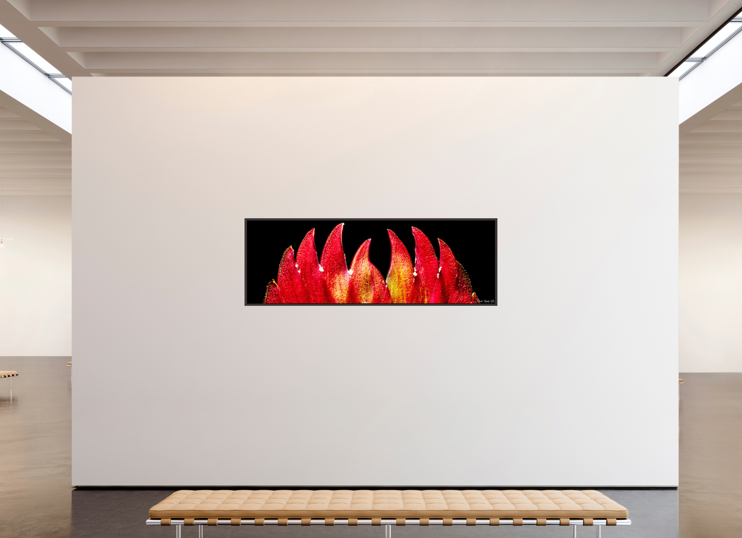 84 x 28″, Floater Frame Alder Brown Flaming Sword