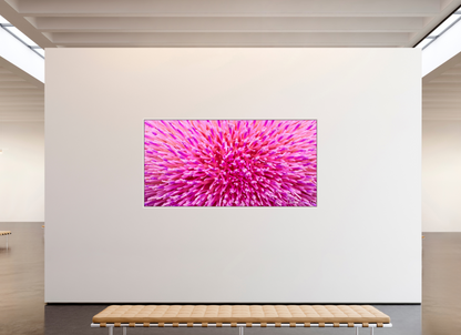 94 x 47″, Floater Frame Maple White Thistle Sea