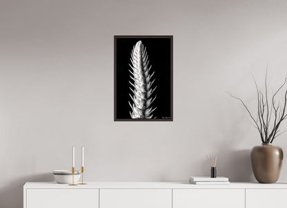 16 x 24″, Floater Frame Alder Brown Vertebrae