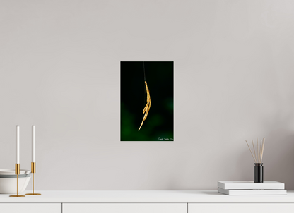 8 x 12″, Glossy Metal Nature’s Tether