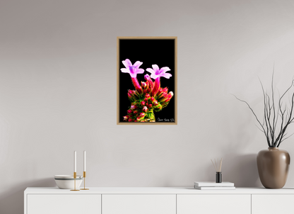 16 x 24″, Floater Frame Natural Oak Vebena Bonariensis Pair
