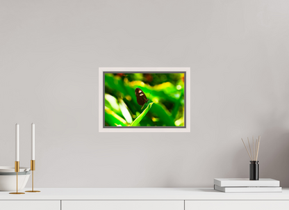 12 x 8″, Floater Frame Maple White Time Stands Still