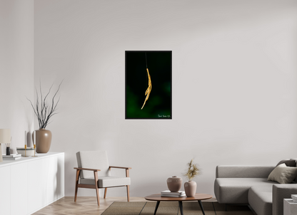 24 x 36″, Floater Frame Black Oak Nature’s Tether