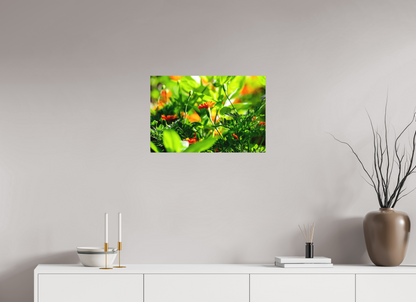 24 x 16″, Matte Metal Prominence