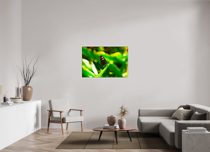 45 x 30″, Floater Frame Maple White Time Stands Still