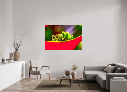 60 x 40″, Glossy Canvas Utopia