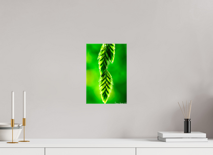 8 x 12″, Glossy Canvas Harmonic Trinity