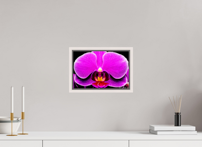 12 x 8″, Floater Frame Maple White Magnificence