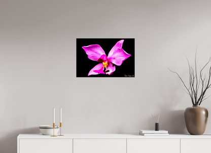 24 x 16″, Acrylic Efflorescence